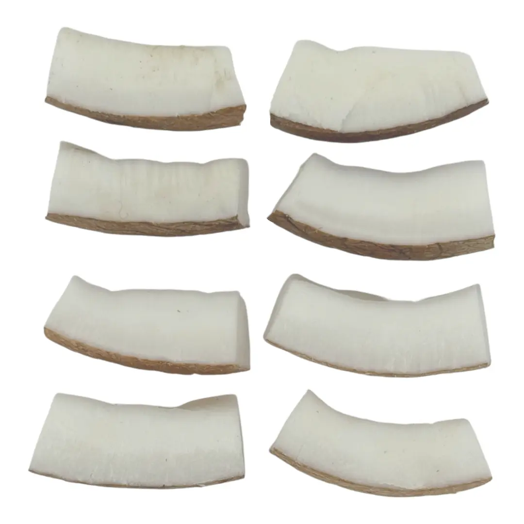 Kokosöl – nährendes Öl für weiche Haut und geschmeidiges Haar.